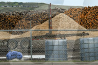 Lumber Production And Wood Processing In Cochrane