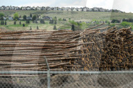 Lumber Production And Wood Processing In Cochrane