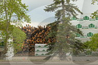Lumber Production And Wood Processing In Cochrane