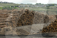 Lumber Production And Wood Processing In Cochrane