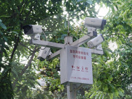Monitoring Networked Intelligent Camera Equipment