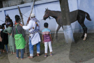 Ashura Preparation In Dhaka