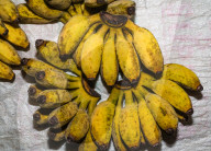 Chini Champa Banana