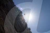A Spider And A Web