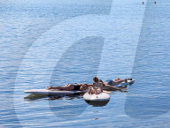 Swimmers And Paddleboarders Cooling Off On Lake