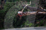 Floods In Texas Leave At Least 80 Dead And Widespread Damage 
