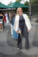 Wimbledon Tennis Championships-Day Eight