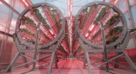 Home  appliance firm Dyson reveals giant strawberry indoor farm
