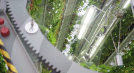 Home  appliance firm Dyson reveals giant strawberry indoor farm
