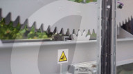 Home  appliance firm Dyson reveals giant strawberry indoor farm