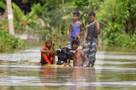 Flood In Assam 