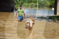 Flood In Assam 