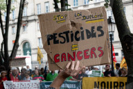 Protest Against The Duplomb Law