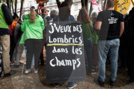 Protest Against The Duplomb Law