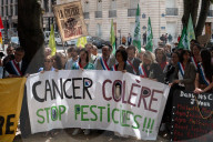 Protest Against The Duplomb Law