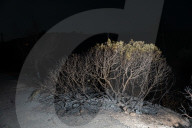 Major Forest Fire In Southern Catalonia.