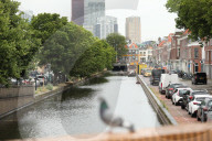 Daily Life In The Hague