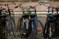 Daily Life In The Hague