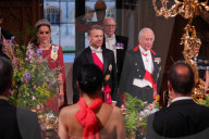 French State Visit to the UK-Day One