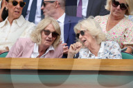Wimbledon Tennis Championships-Day Ten