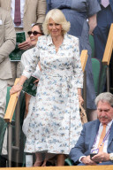 Wimbledon Tennis Championships-Day Ten