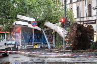 Storm Damage In Milan