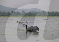 Rainfall In Srinagar