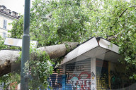 Storm Damage In Milan