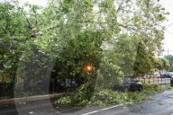Storm Damage In Milan