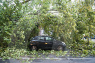 Storm Damage In Milan