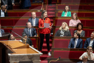 Questions To The French Government At The National Assembly