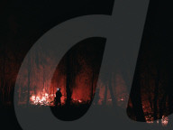 Large Wildfire Rages In Northeastern Attica 