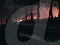 Large Wildfire Rages In Northeastern Attica 
