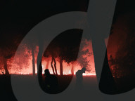 Large Wildfire Rages In Northeastern Attica 