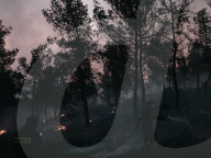 Large Wildfire Rages In Northeastern Attica 