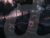 Large Wildfire Rages In Northeastern Attica 