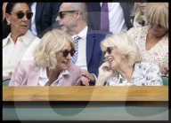 Wimbledon Tennis Championships-Day Ten