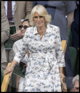 Wimbledon Tennis Championships-Day Ten