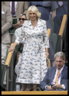 Wimbledon Tennis Championships-Day Ten