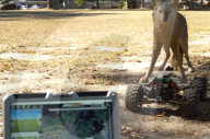 Robot coyotes to deter wildlife from US military airfields
