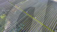 PV Power Plant