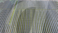 PV Power Plant
