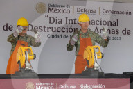 International Day For The Destruction Of Weapons