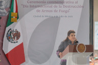 International Day For The Destruction Of Weapons
