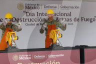 International Day For The Destruction Of Weapons
