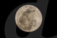 Buck Moon In Indonesia 