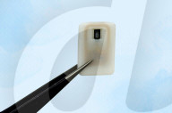 Implant to help type 1 diabetics
