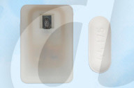 Implant to help type 1 diabetics