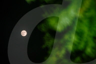 Buck Moon - July Full Moon - Guru Purnima