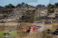 Wildfire Affects Mediterranean Scrub Near Otranto